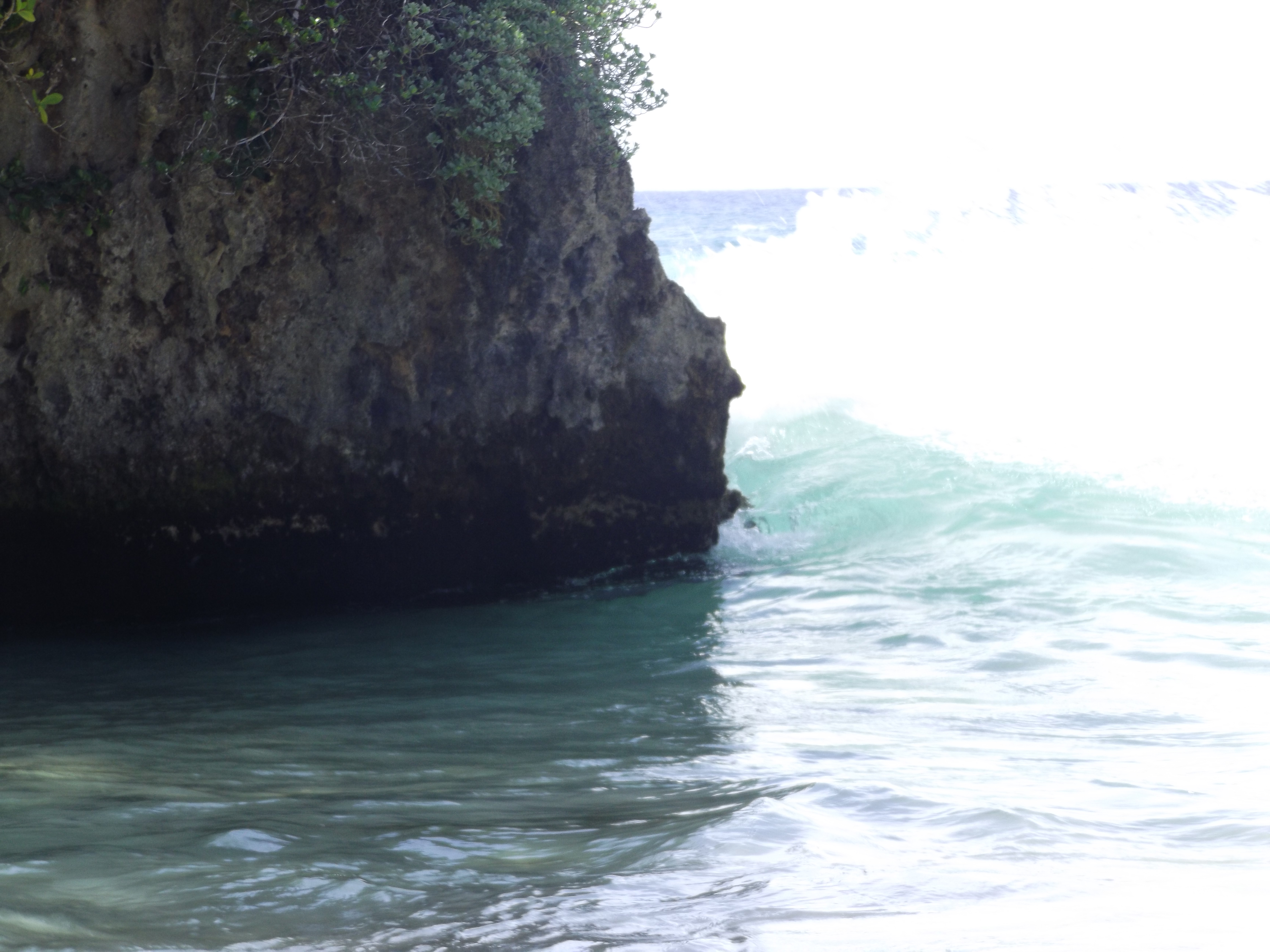 DSCF0377